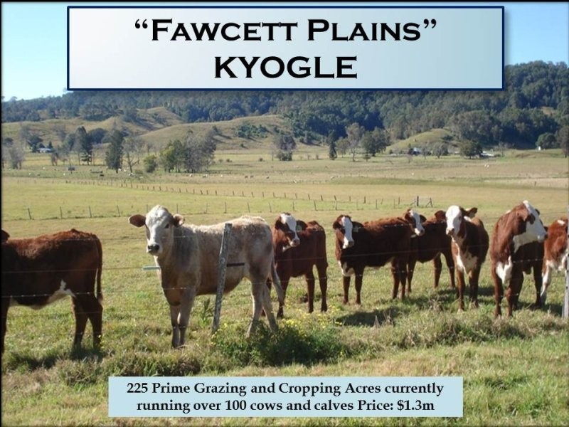 310 Fawcett Plain Road, Kyogle NSW 2474