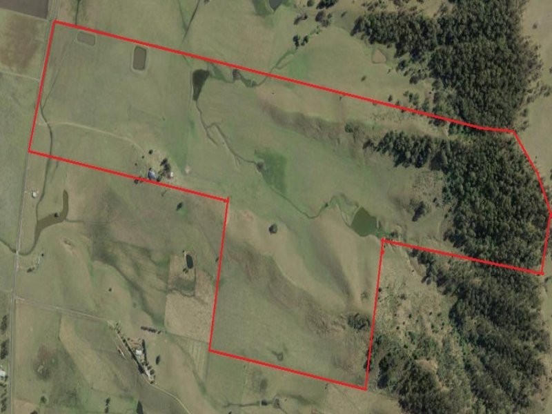 310 Fawcett Plain Road, Kyogle NSW 2474