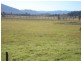 310 Fawcett Plain Road, Kyogle NSW 2474