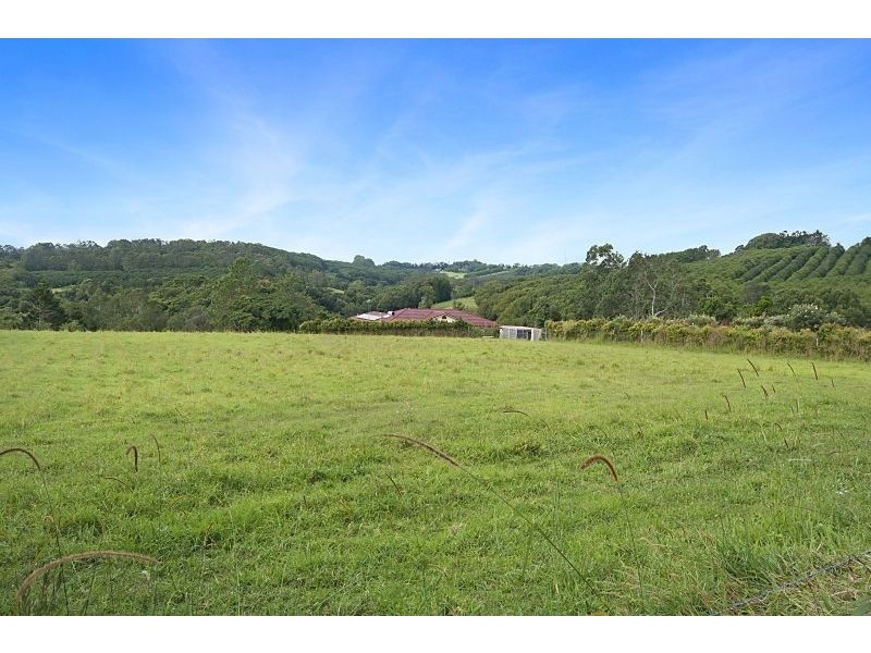 316 Pearces Creek Road, Alstonvale NSW 2477