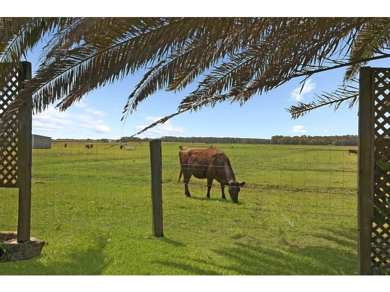 57 Reedy Creek Road, Empire Vale NSW 2478