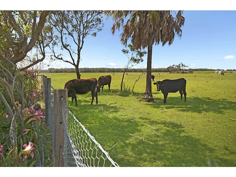 57 Reedy Creek Road, Empire Vale NSW 2478