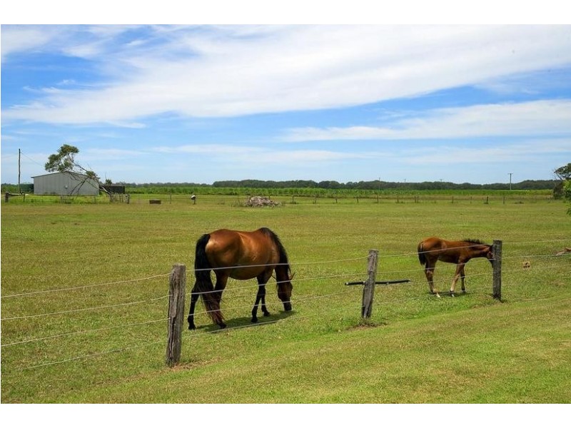 1102 River Drive, Keith Hall NSW 2478