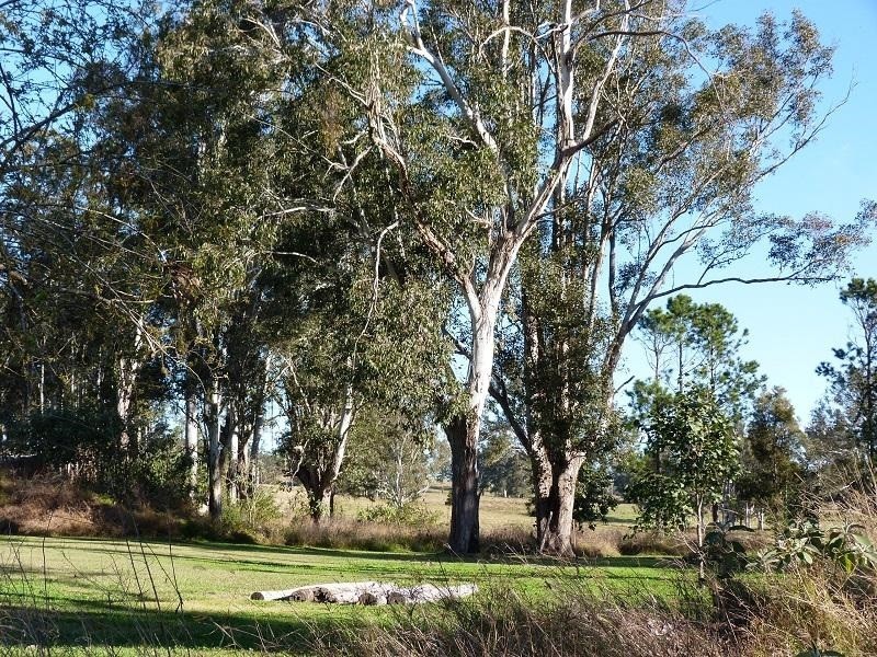 704 Larrson Road, Tabulam NSW 2469