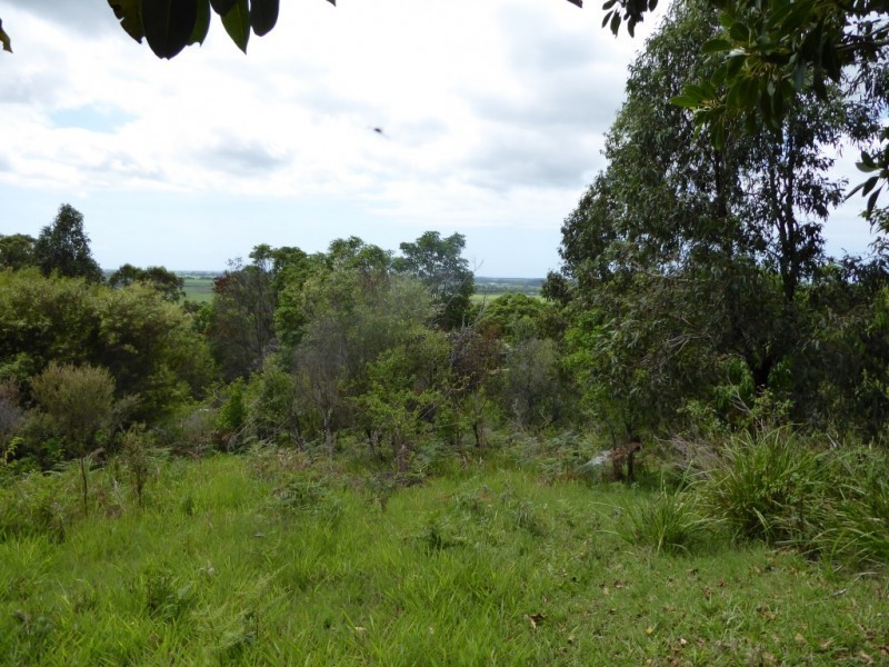 132 Whytes Lane, Pimlico NSW 2478