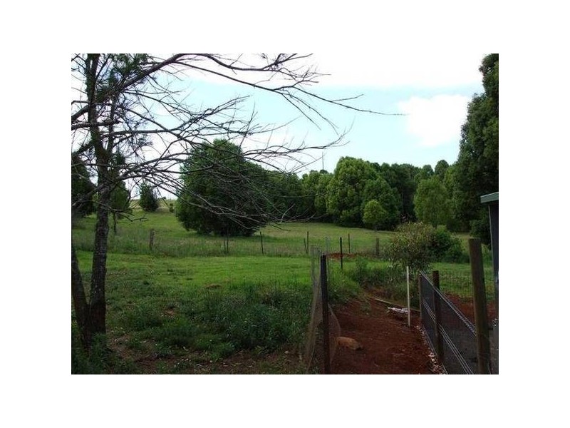 Chilcotts Grass NSW 2480