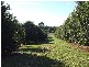 1 Alexander Road, Mcleans Ridges NSW 2480