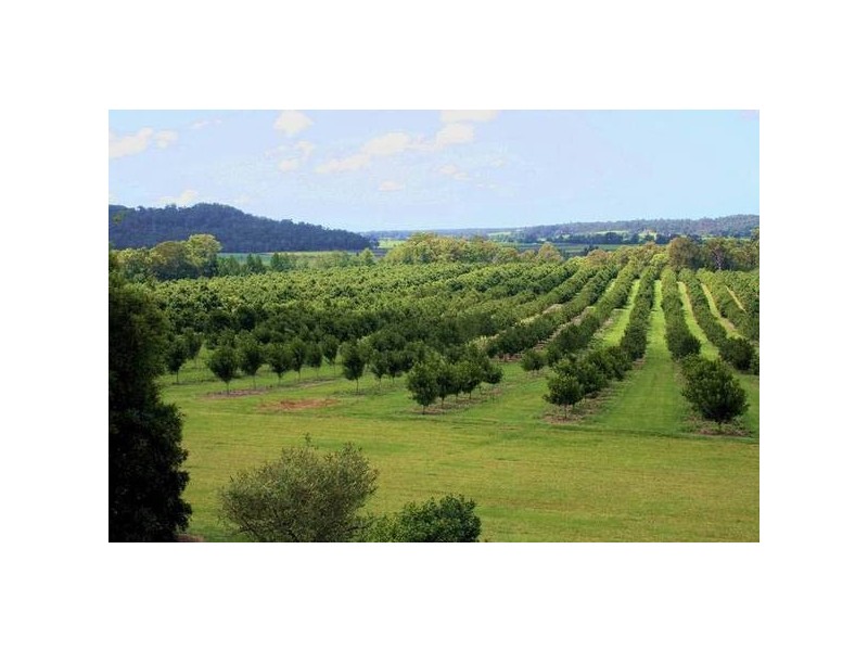 Lot 9 Cambridge Park Road, Woodford NSW 2463