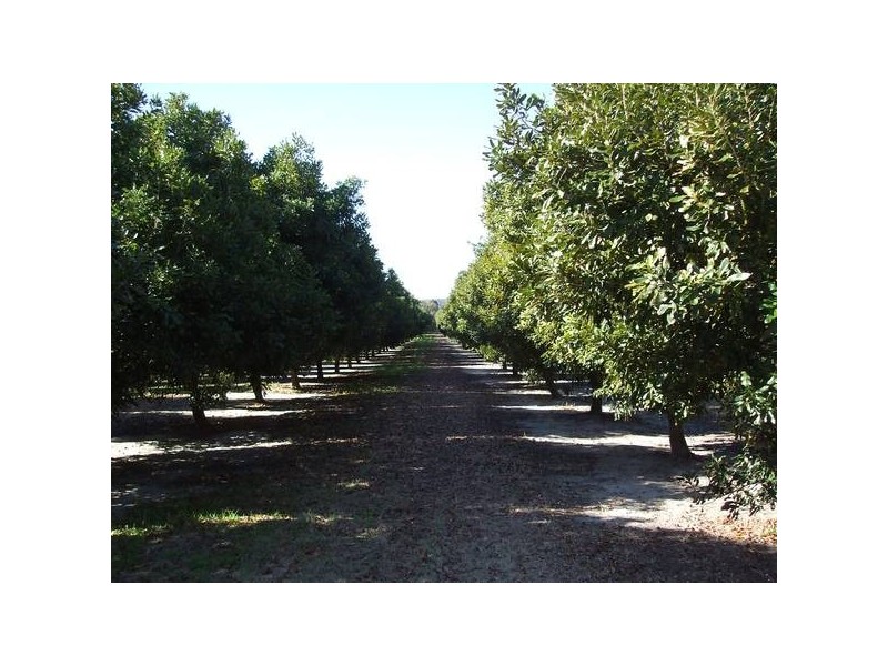 Lot 9 Cambridge Park Road, Woodford NSW 2463