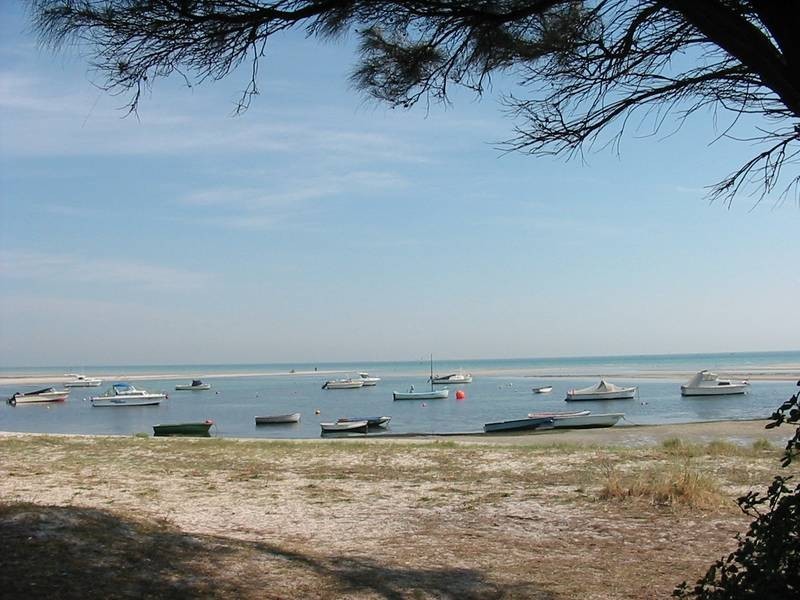 84 Boatshed, Rosebud VIC 3939