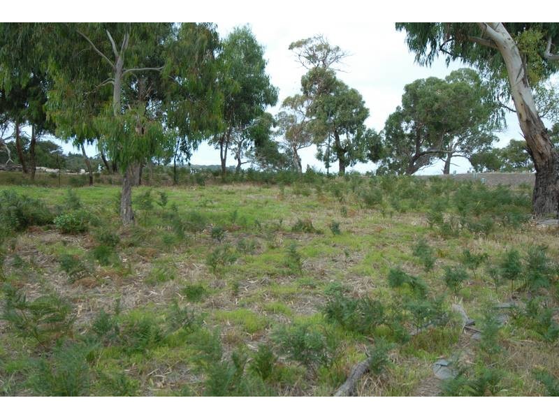 Lot 620, 43 Wallaby Drive, Rosebud VIC 3939