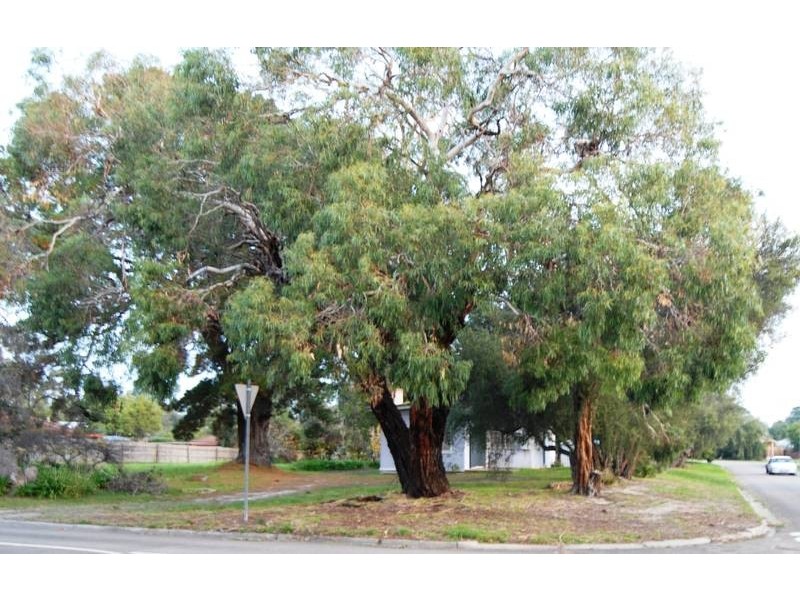 2 Leon Avenue, Rosebud VIC 3939