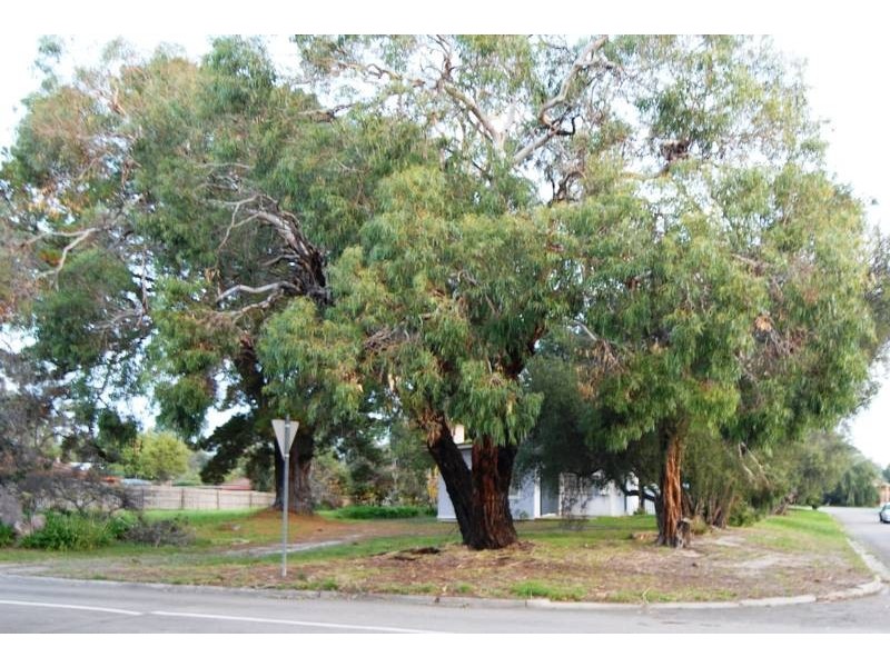 2 Leon Avenue, Rosebud VIC 3939