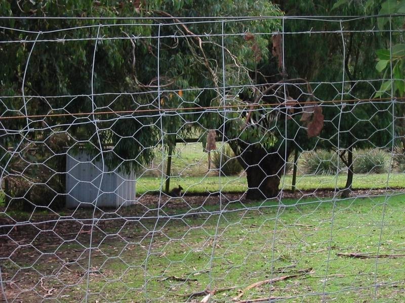 65 Seamist Drive, Arthurs Seat VIC 3936