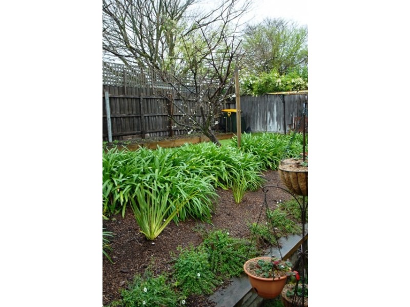 67 Banksia Place, Rosebud VIC 3939