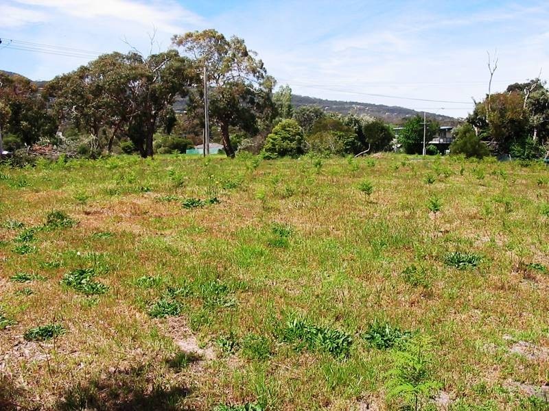 3,5 & 7 Agonis Court, Rosebud VIC 3939