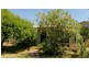 20 Mirriam Avenue, Rosebud West VIC 3940