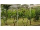 2 Chatfield Avenue, Rosebud West VIC 3940