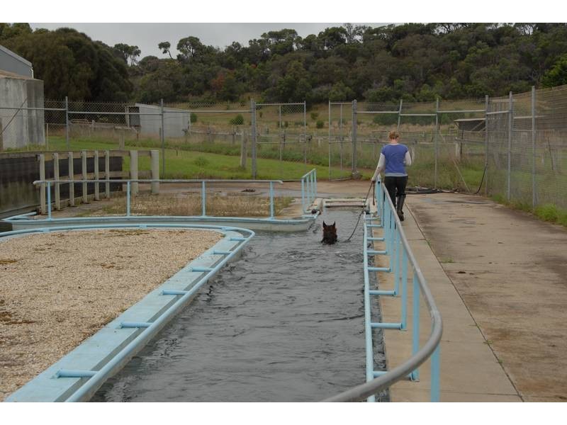 754 Boneo Road, Cape Schanck VIC 3939