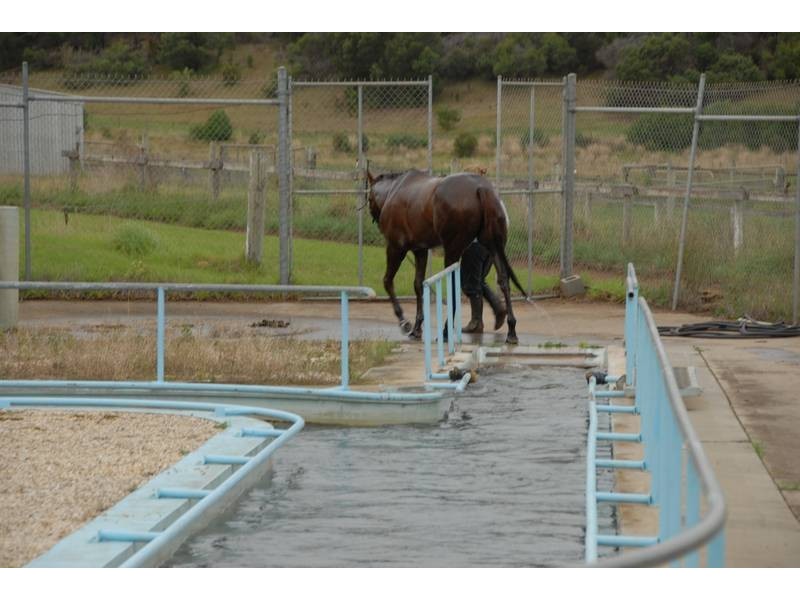 754 Boneo Road, Cape Schanck VIC 3939
