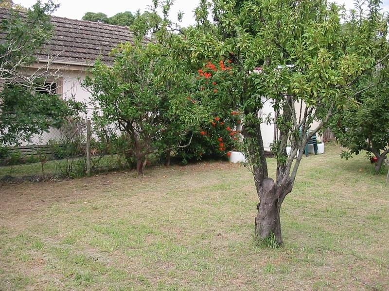 26 Parkmore Road, Rosebud VIC 3939