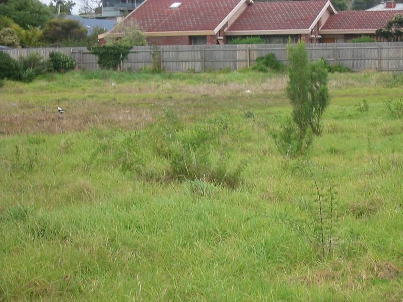 2495 Point Nepean Road, Rye VIC 3941