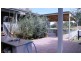 20 Carrathool Avenue, Rosebud VIC 3939