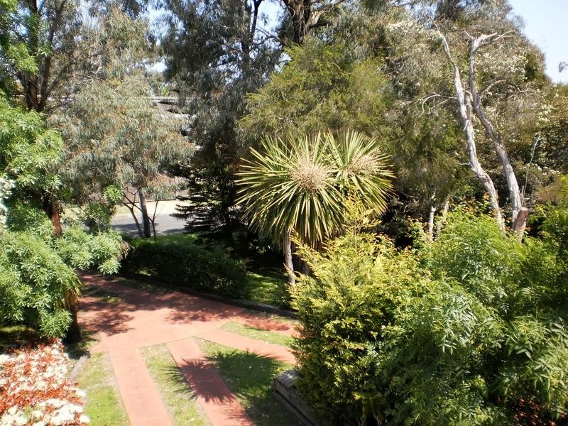 17 Iluka Street, Safety Beach VIC 3936