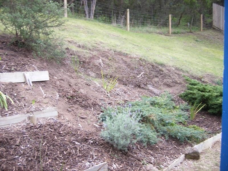 6 Penn Court, Tootgarook VIC 3941