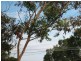 17 Talbot Grove, Mccrae VIC 3938