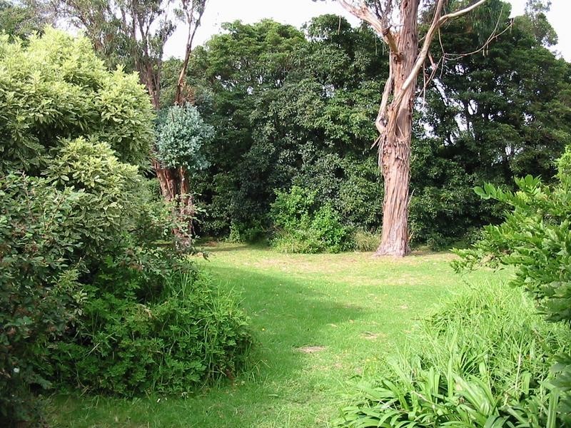 17 Talbot Grove, Mccrae VIC 3938