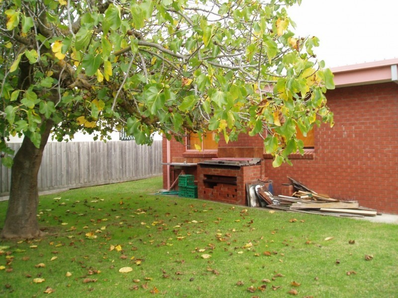 14 Meadow Avenue, Rye VIC 3941