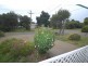 13 Clematis Avenue, Rosebud West VIC 3940