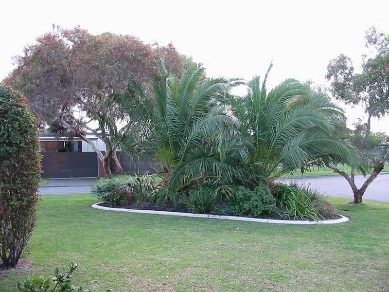 21 Coral Close, Rosebud VIC 3939