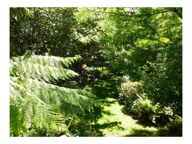 11 Warranilla Avenue, Rosebud VIC 3939