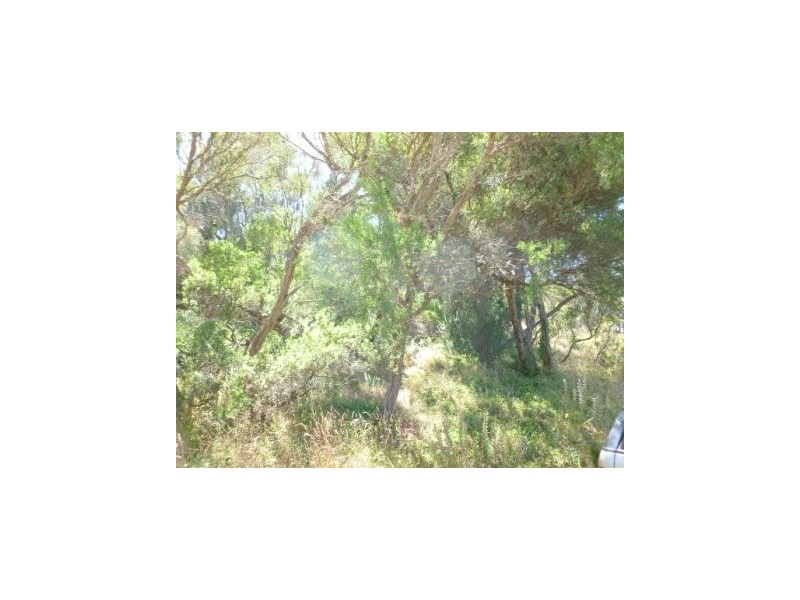 3 Tarawill Street, Rye VIC 3941