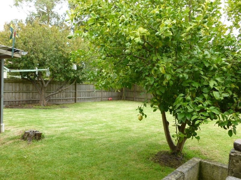 10 Poplar Drive, Rosebud VIC 3939