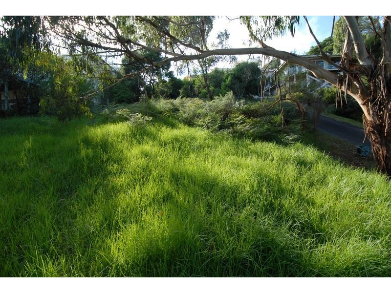 31 Arthurs Avenue, Mccrae VIC 3938