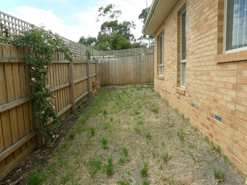 2/50 Austin Avenue, Mccrae VIC 3938