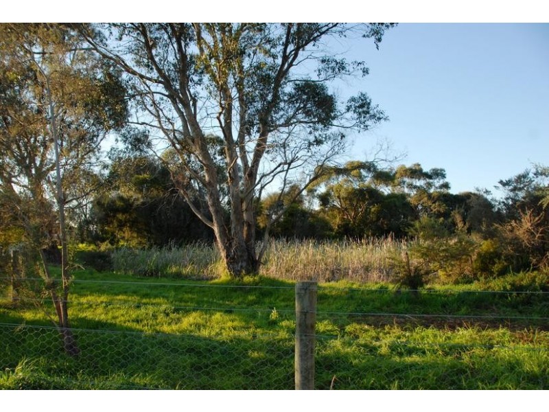 13 Tern Avenue, Rosebud West VIC 3940