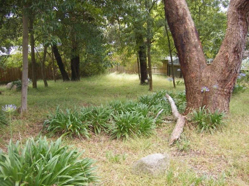 16 Dorothy Court, Mccrae VIC 3938