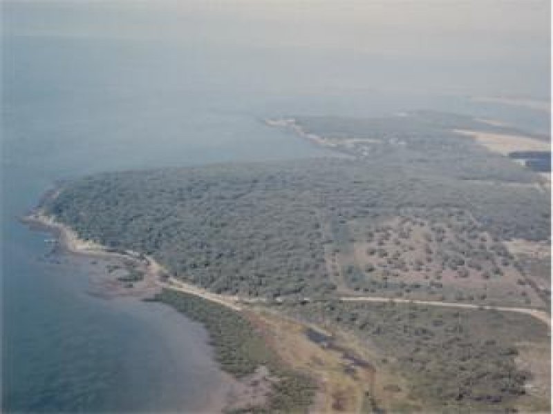 French Island VIC 3921