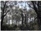 French Island VIC 3921
