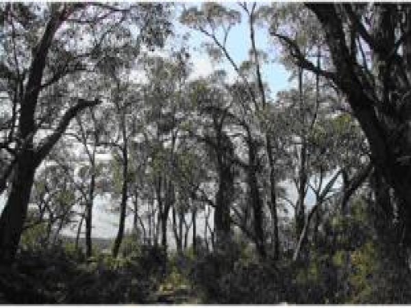 French Island VIC 3921