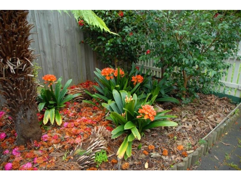 54 Elwers Road, Rosebud VIC 3939