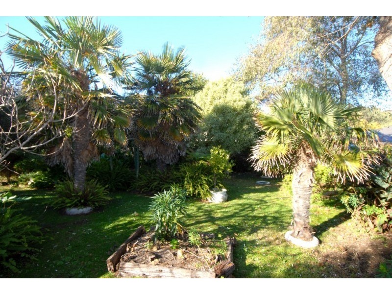 158 Truemans Road, Tootgarook VIC 3941