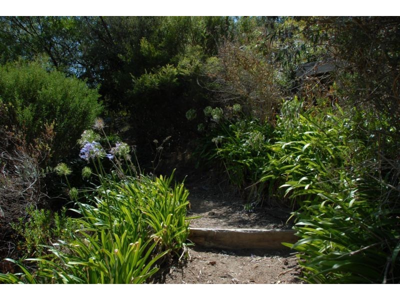 23 Cook Street, Mccrae VIC 3938