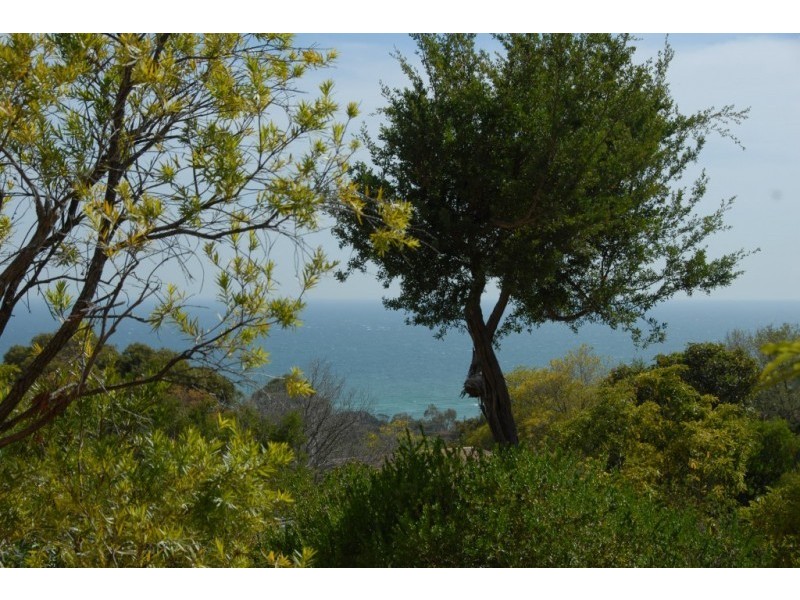 12 Poole Street, Mccrae VIC 3938