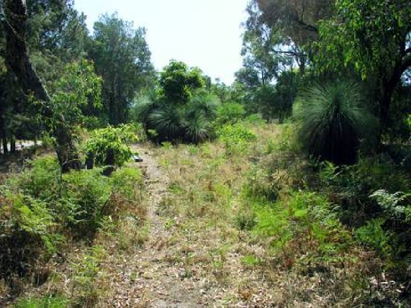 Avalon Drive, Rosebud VIC 3939