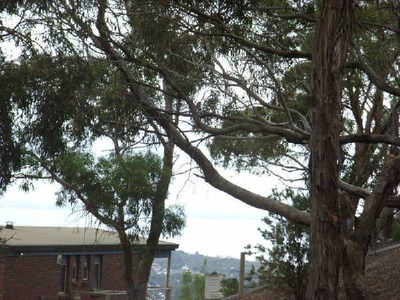 16 McLaren Court, Rosebud VIC 3939